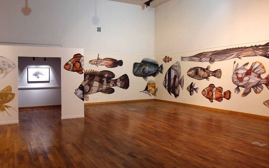 Teuthis x Runs au Museum Aquarium